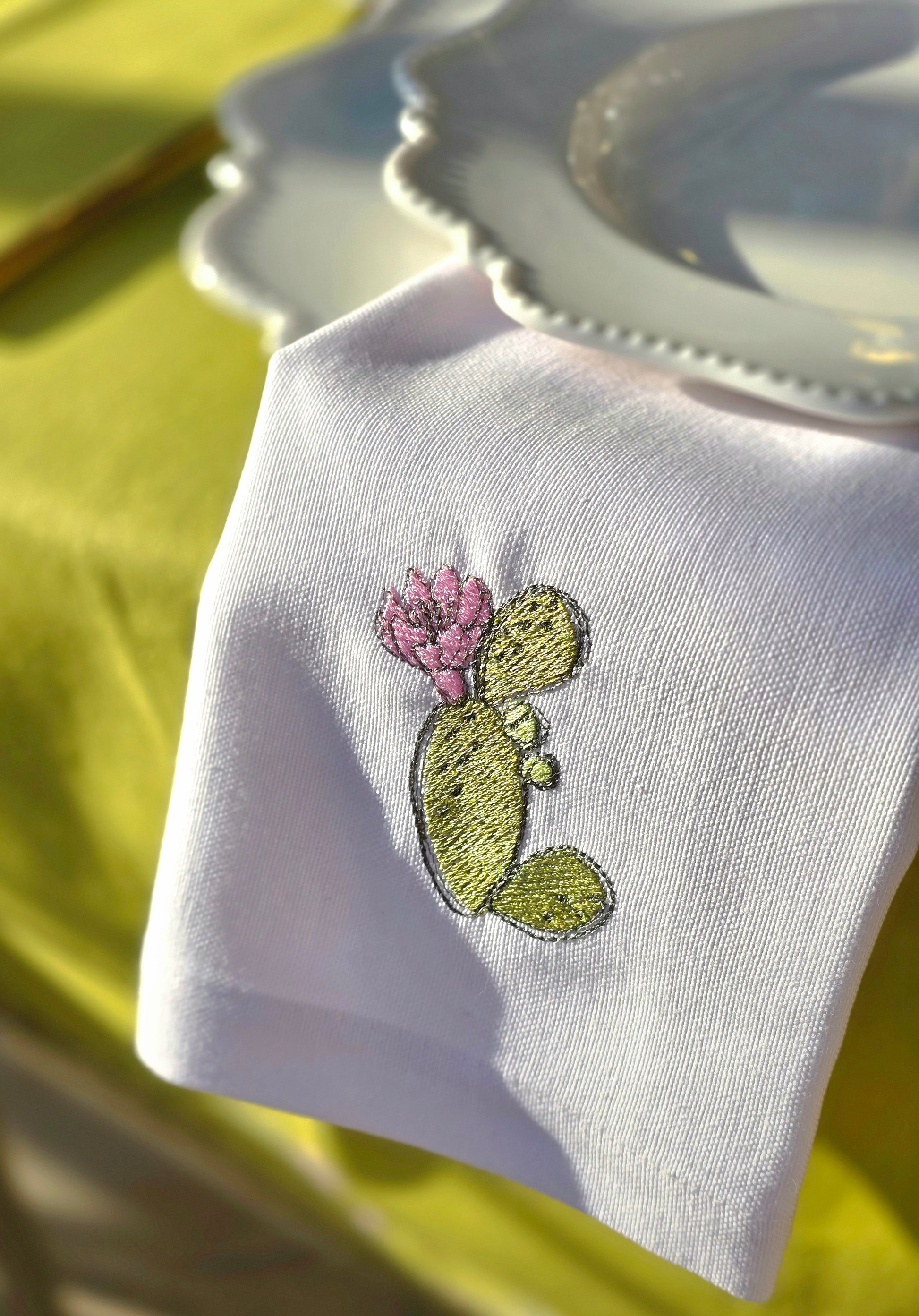 Set Cactus 🌵
